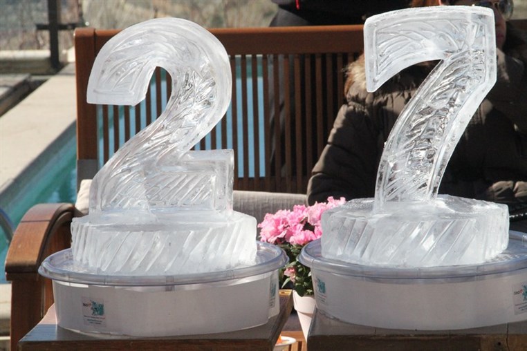 Terrebrune BBQ Winter Pool Party